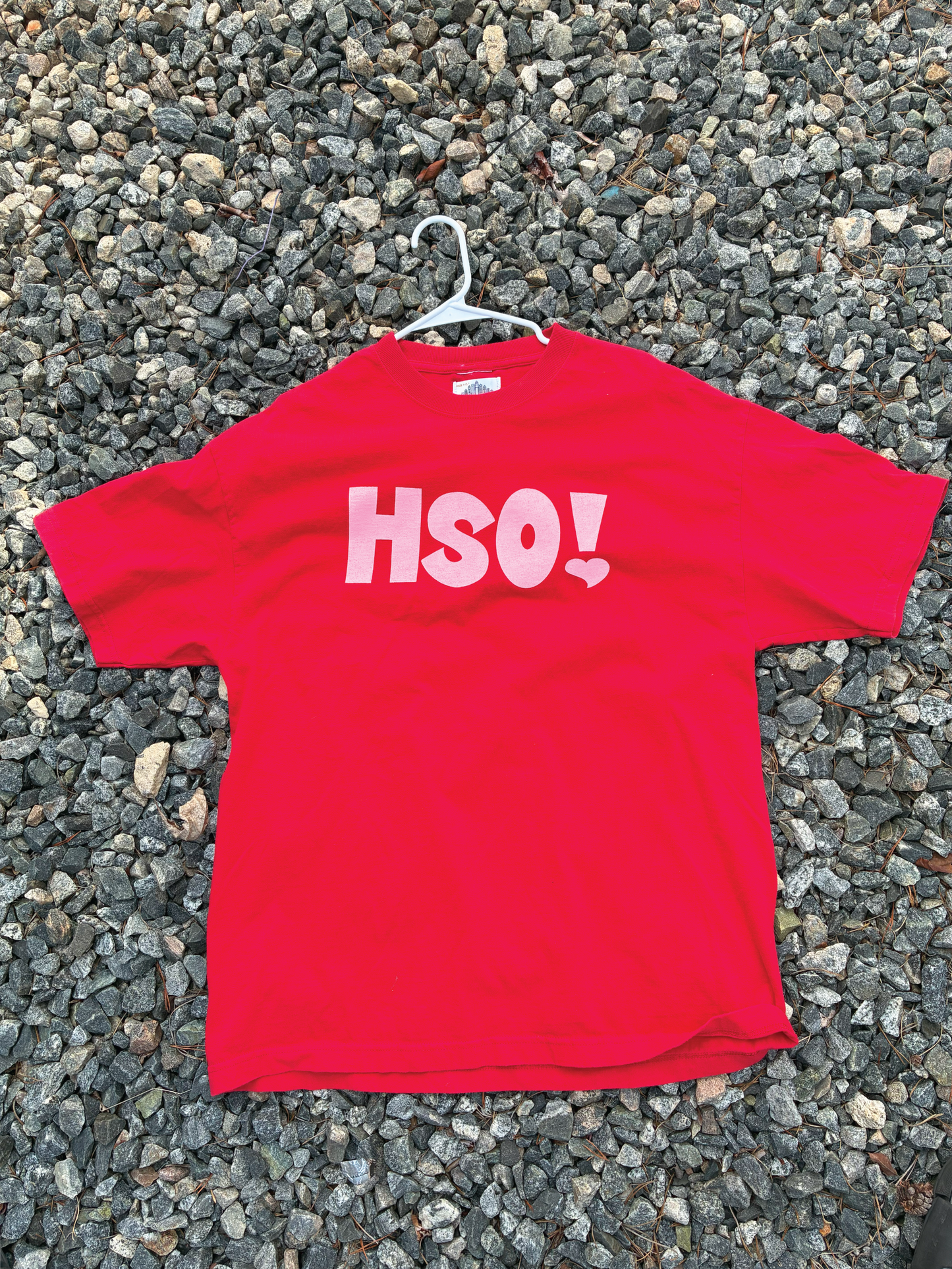 HSO! Tee *Printed on random thrifted blanks*