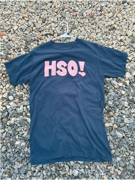 HSO! Tee *Printed on random thrifted blanks*
