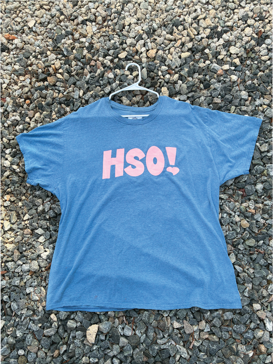 HSO! Tee *Printed on random thrifted blanks*