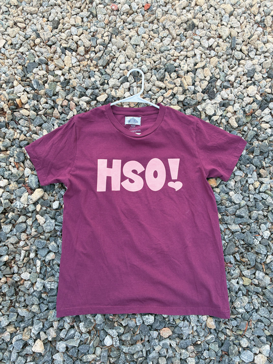 HSO! Tee *Printed on random thrifted blanks*