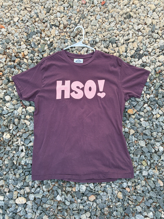HSO! Tee *Printed on random thrifted blanks*