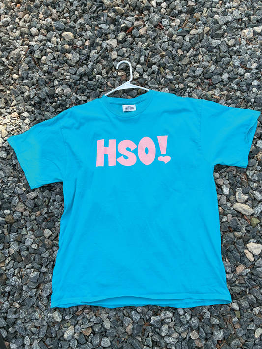 HSO! Tee *Printed on random thrifted blanks*