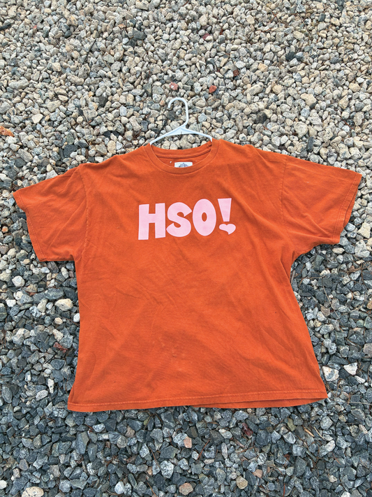 HSO! Tee *Printed on random thrifted blanks*