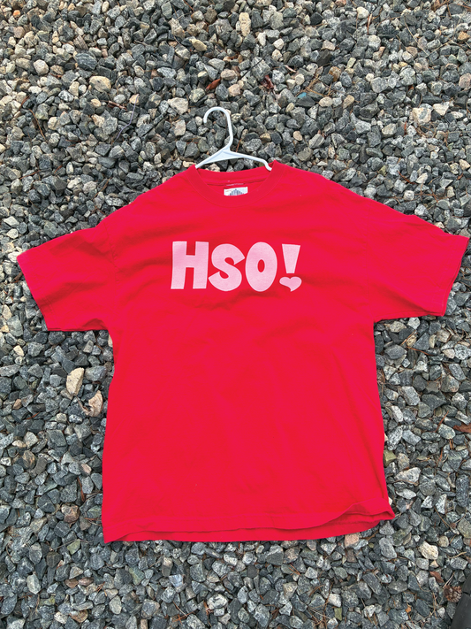 HSO! Tee *Printed on random thrifted blanks*