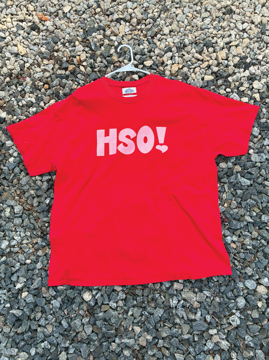 HSO! Tee *Printed on random thrifted blanks*