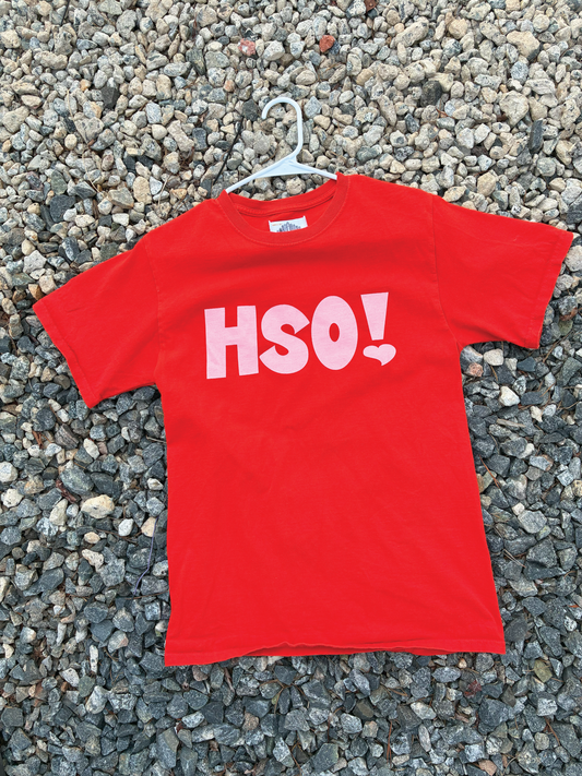 HSO! Tee *Printed on random thrifted blanks*