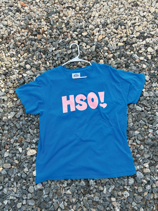 HSO! Tee *Printed on random thrifted blanks*